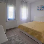 Gasthof Casa Cretu Visina