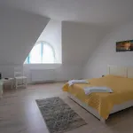 Casa Cretu Visina