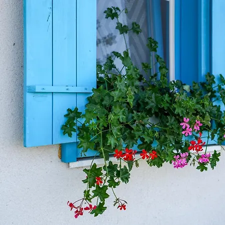 Casa Cretu Guest house *