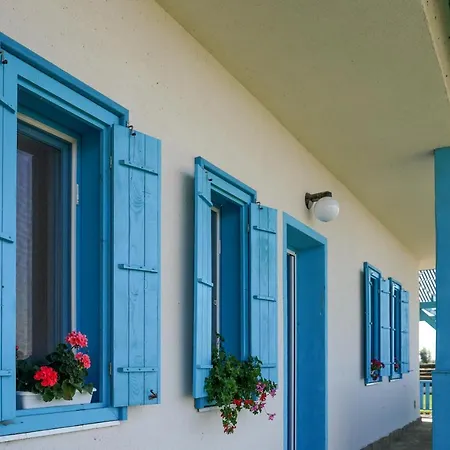 Casa Cretu Visina