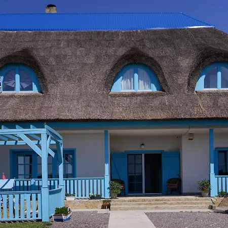 Casa Cretu Visina