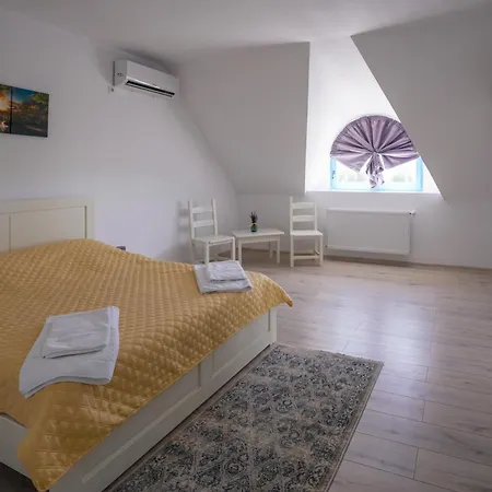 Casa Cretu Guest house Visina