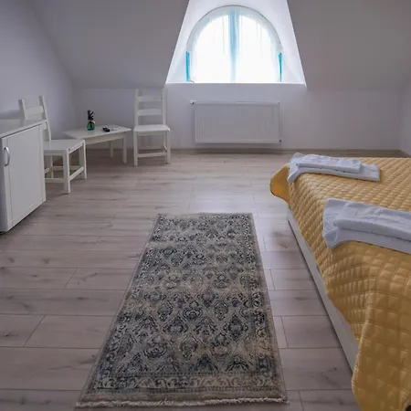 Casa Cretu Guest house *