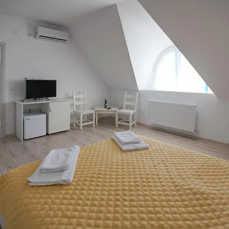 Casa Cretu Guest house Visina